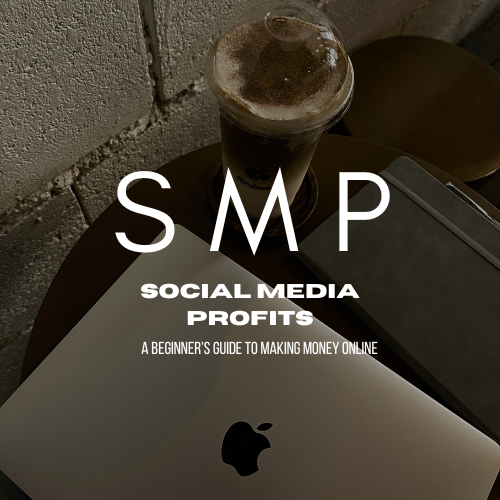 Social Media Profits: A Beginner's Guide - Your Roadmap to Online Success E-Book